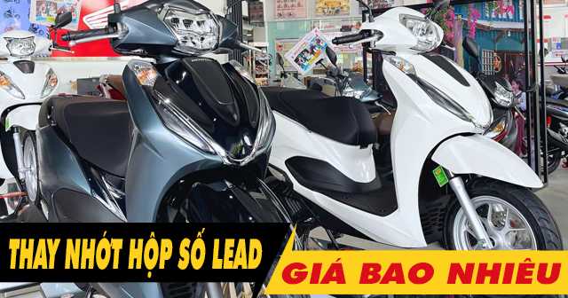 Thay nhớt hộp số Lead 2026 bao nhiêu tiền, loại nào tốt?